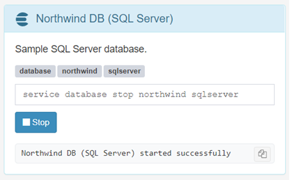 SQL Server Starter Pack in ReportBurster