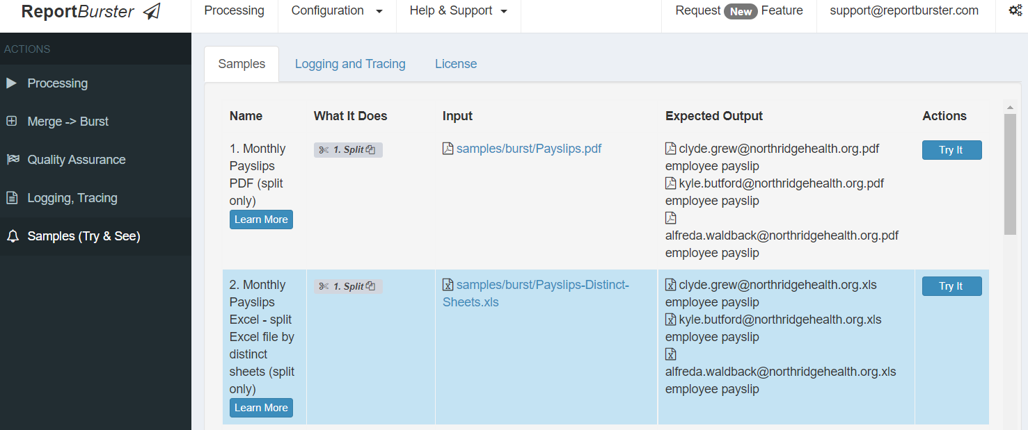 ReportBurster Burst Excel By Distinct Sheets - TryIt