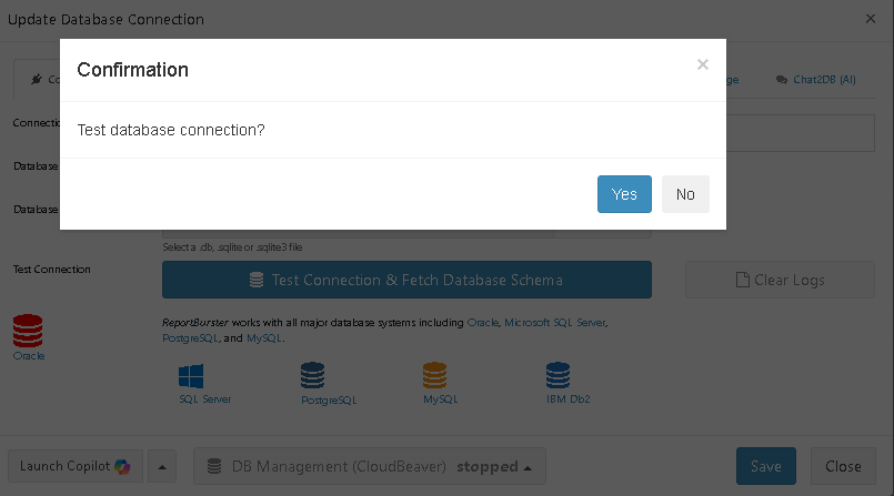 Confirmation dialog for testing your database connection in ReportBurster
