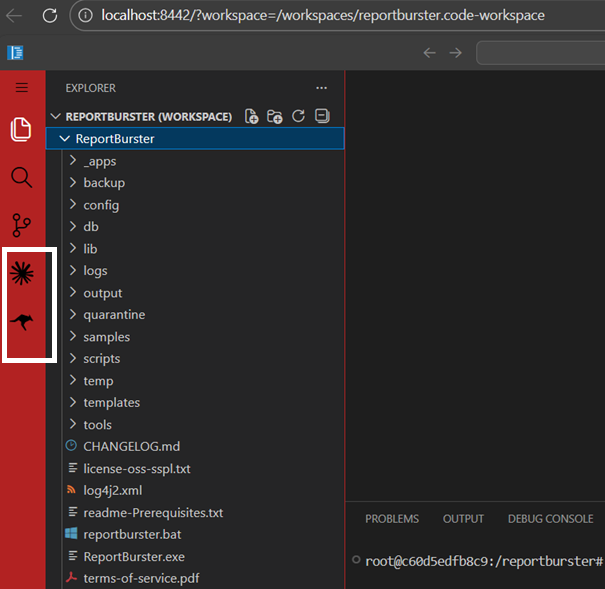 VS Code — ReportBurster (red sidebar)