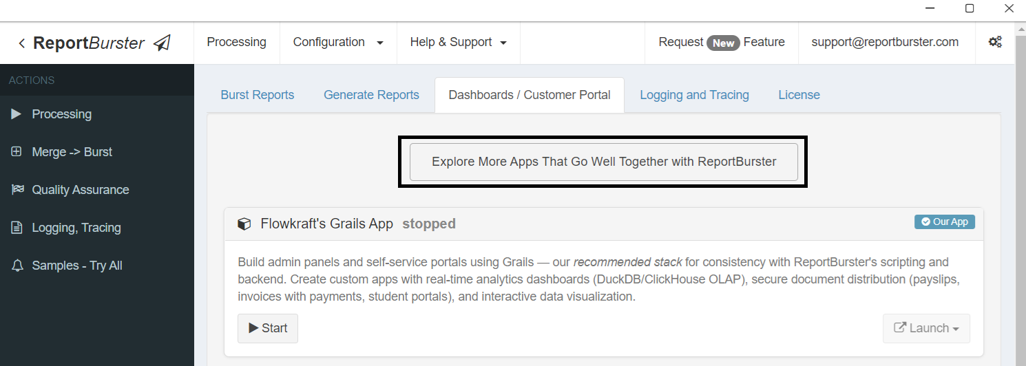 Navigate to Chat2DB — Dashboards / Customer Portal tab in ReportBurster