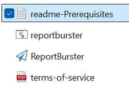 ReportBurster readme-Prerequisites.txt file